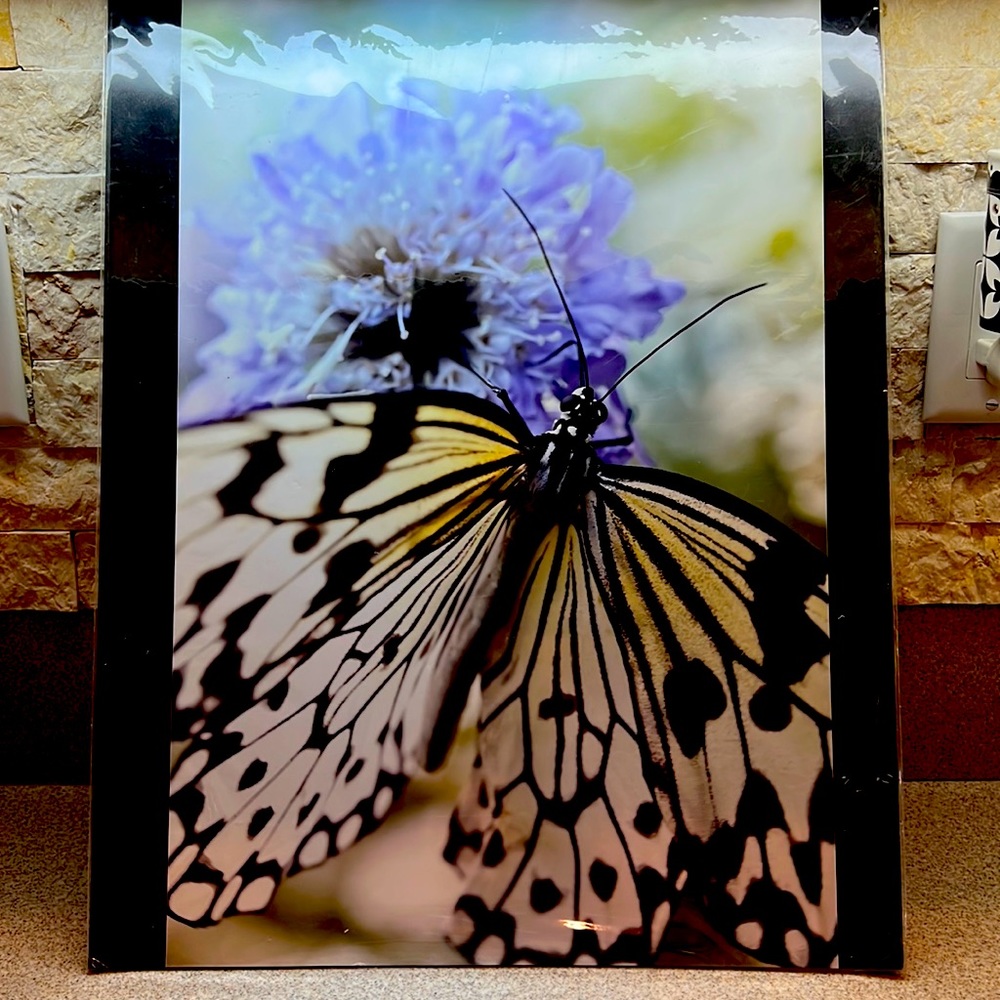16”x 20” Printed Photograph of a BUTTERFLY and violet purple flower w/black mat